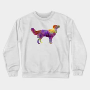 Drentsche Partridge Dog Crewneck Sweatshirt